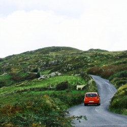 The Little Red Car